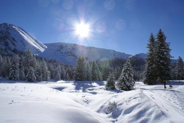 La boucle des sapins