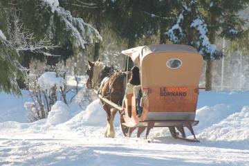 Balade en traîneau à cheval