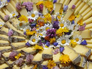 Naissance d'un fromage