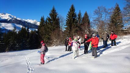 Raquette à neige : Découverte de la nature hivernale endormie