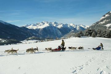 Initiation à la conduite d'attelage de chiens