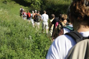 Le chemin de Bozel
