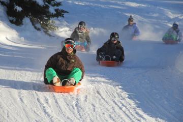 Luge Park - Snow luge (luge bob)