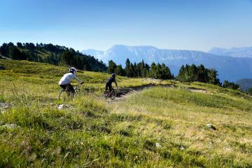 Piste VTT - Tasse