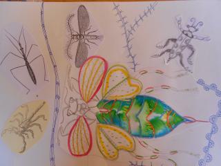 Atelier art : les insectes