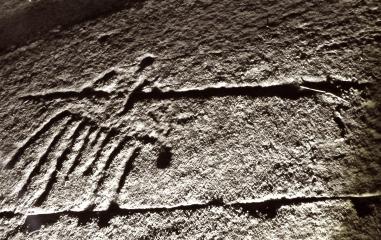La nuit des temps - Randonnée pédestre accompagnée