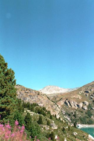 Randonnée pédestre : Sortie en Vanoise