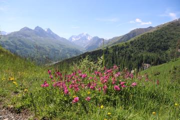 Boucle Pémian par le Serroz et les Solèdes - Itinéraire de trail