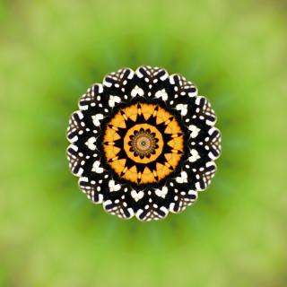 Atelier Mandala Sacré avec Christine - Lundi 05 mai