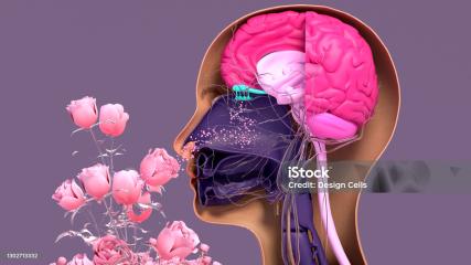 Atelier Méditation olfactive avec Christine - Dimanche 13 avril