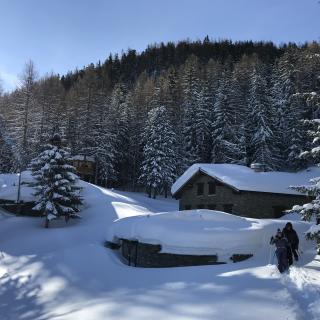 Randonnée en raquettes