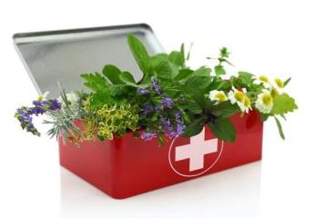 Apprenez à Confectionner votre trousse de secours à base d'huiles essentielles avec Isabelle - Lundi 21 avril