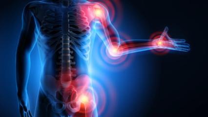 Atelier Spécial Rhumatismes et Arthrose avec Isabelle - Lundi 14 avril