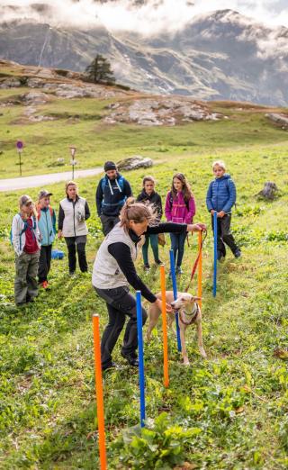 Expérience Mini-Musher