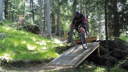 Enduro : La Vipérine