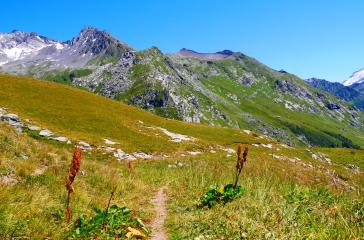 Le Lac de la Vélière et l'alpage de la Chiaupe