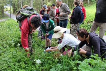 Sortie découverte des plantes de montagne