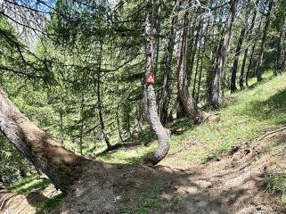Itinéraire VTT AE : Les Ponchus