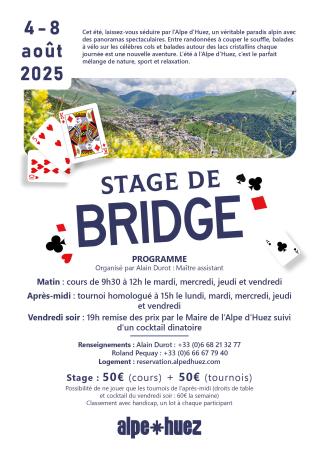 Stage de Bridge