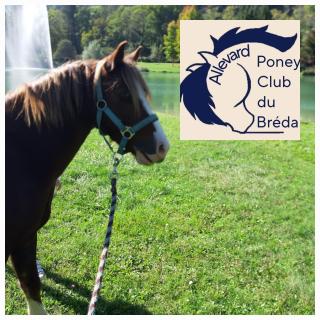 Le Poney CLub du Bréda