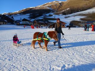 Balade à poney, Poney-luge & Ski-poney - Les Crins Sauvages