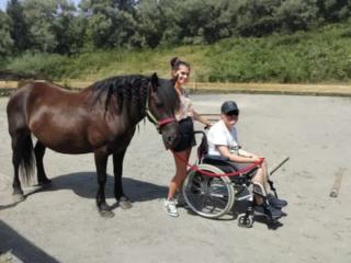 Equitation adaptée et médiation animale - Les Crins Sauvages