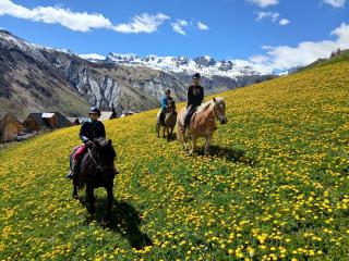 Randonnées à cheval et cours d'équitation - Les Crins Sauvages