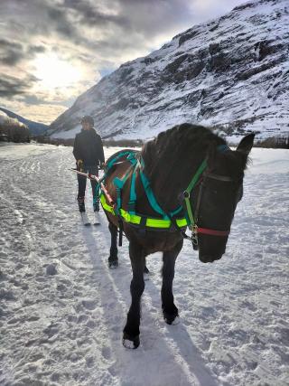 Randonnées à cheval et ski-joering - Les Crins Sauvages