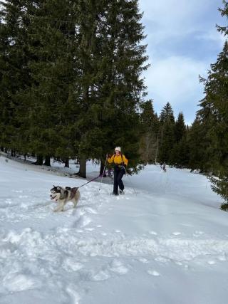 Cani-raquette nocturne