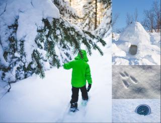 Après-midi raquettes mini trappeur