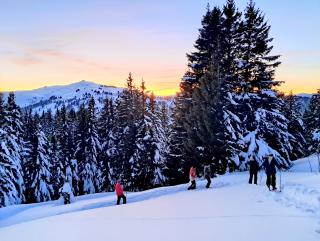 Randonnée crépuscule en raquettes à la savoyarde