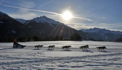 Baptême en chiens de traîneau