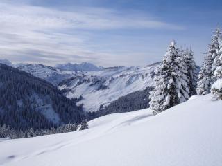 Itinéraire Raquettes : Covetan