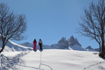 En raquettes à la ferme