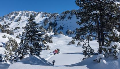 Randonnée raquettes accompagnée - Lac Achard