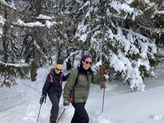 Balades raquettes demi-journée - Pass Montagne