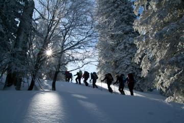 Raquettes découverte | Bureau des Guides x ESF
