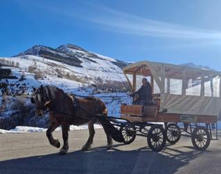 Promenade en calèche avec option dinatoire