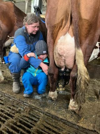 Rando à la ferme avec traite des vaches
