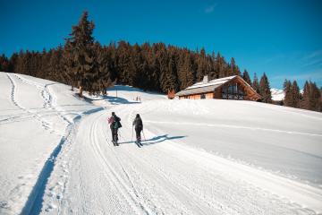 Itinéraire Ski de Randonnée : La Ravine à Claudius