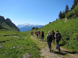 Rencontre avec un éleveur à l’alpage des Rossets: Randonnée-découverte