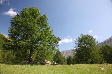 Boucle du Grand Vallon - Itinéraire VTTAE