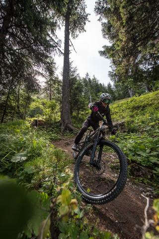 VTT Enduro : La Sapinette