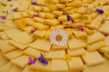 Tout sur le beaufort