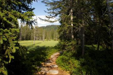 Sentier flore et milieux naturels