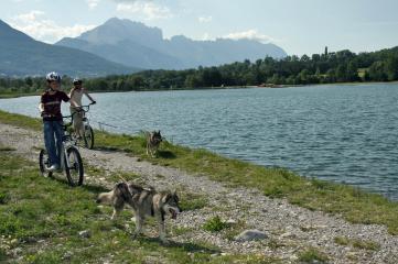 Alpi-Traineau : Rand'O chien de Train'O été