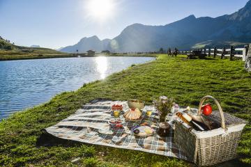 Aire de pique-nique / barbecue au lac de la Cour