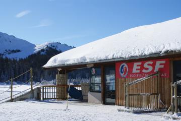 Cours Collectifs Ski alpin