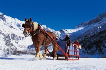 Balade en traîneau à cheval