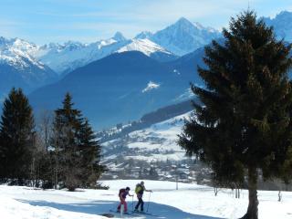 Itinéraire ski de randonnée : Le Plan des Dames